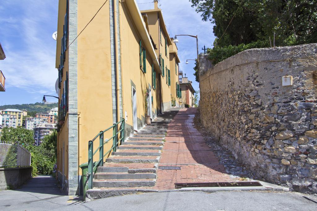 Laxmi Genoa